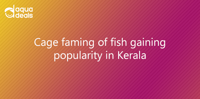 Cage faming of fish gaining popularity in Kerala