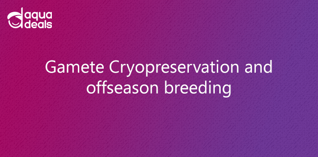 Gamete Cryopreservation and offseason breeding