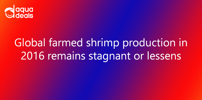 Global farmed shrimp production in 2016 remains stagnant or lessens