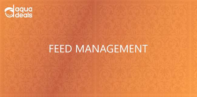 FEED MANAGEMENT