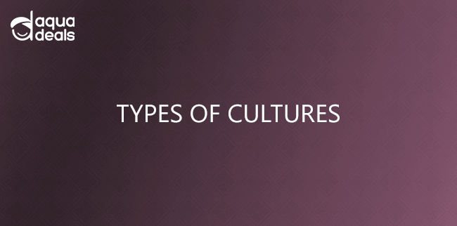 TYPES OF CULTURES