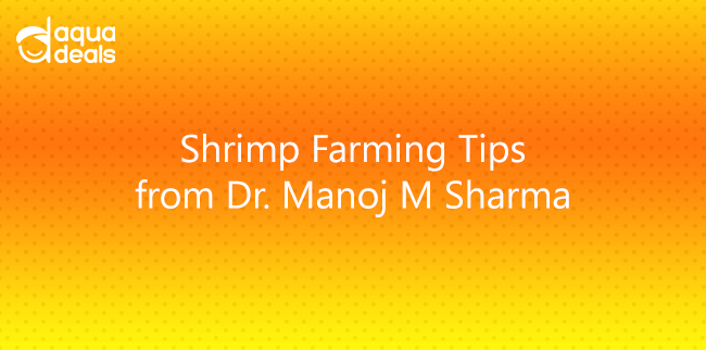 Shrimp Farming Tips from Dr. Manoj M Sharma
