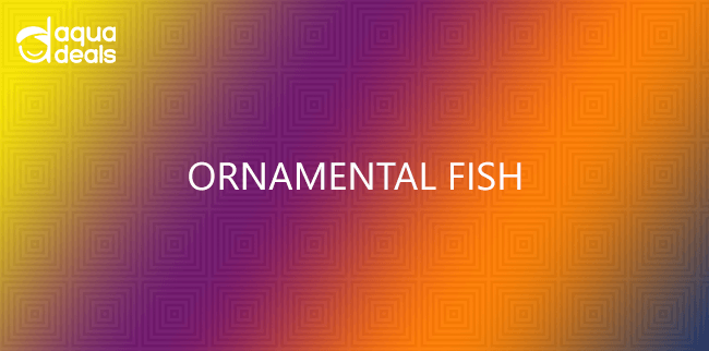 ORNAMENTAL FISH